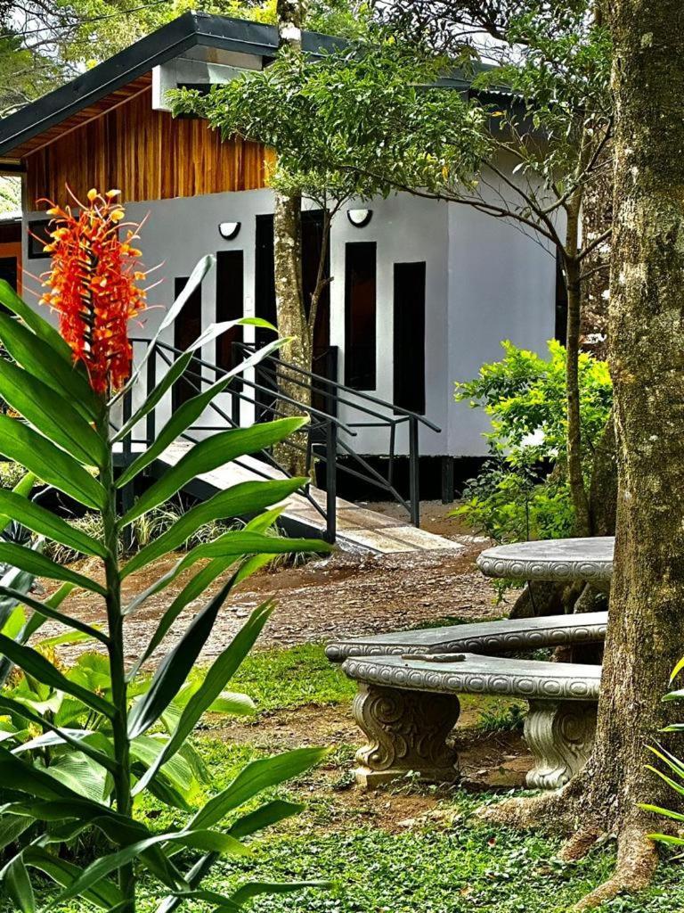 Cabanas Roca Verde Monteverde Exterior photo