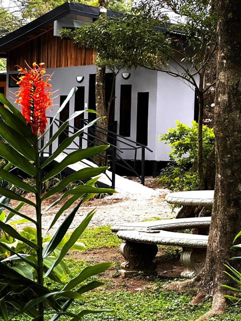 Cabanas Roca Verde Monteverde Exterior photo