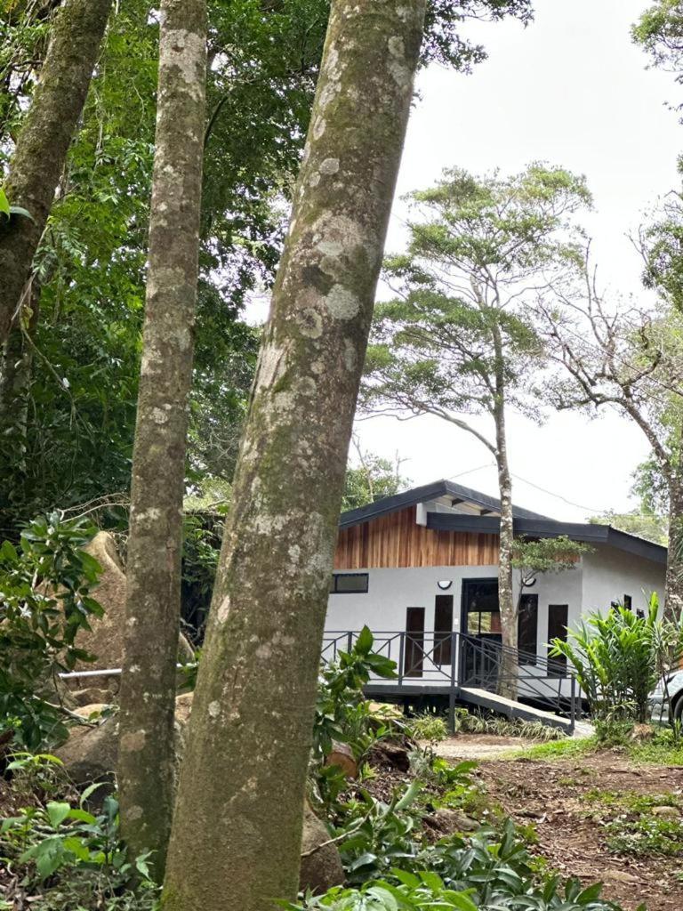 Cabanas Roca Verde Monteverde Exterior photo